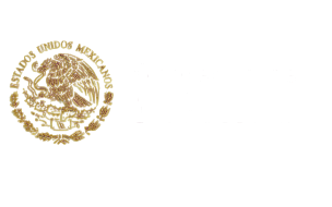 Gobierno de México