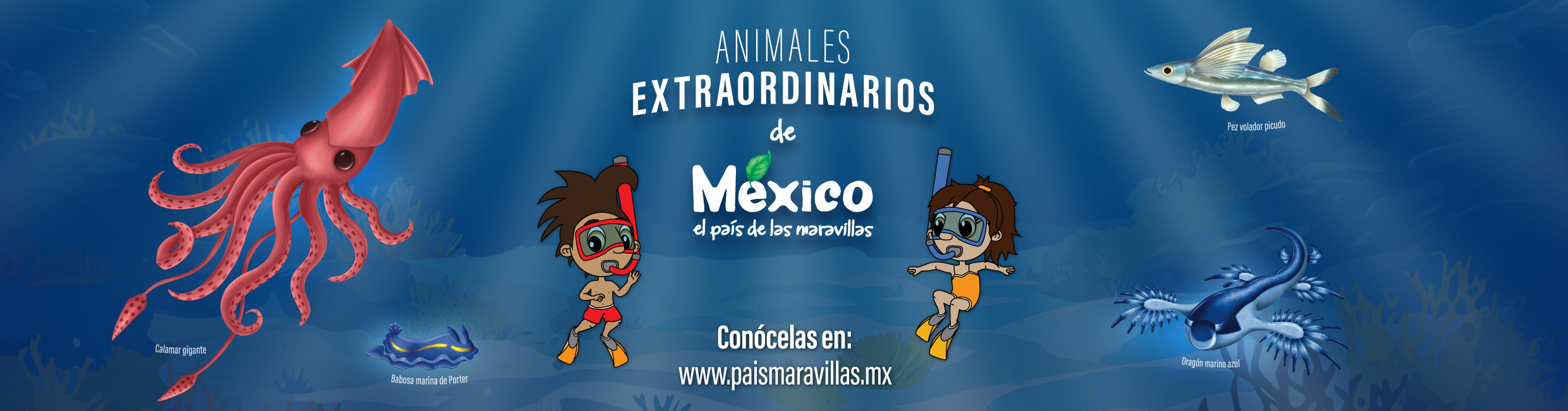 SEMARNAT Imagen 2